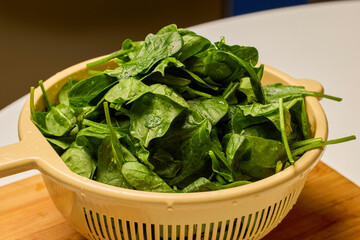 fresh spinach with water droplets ready to be cooked