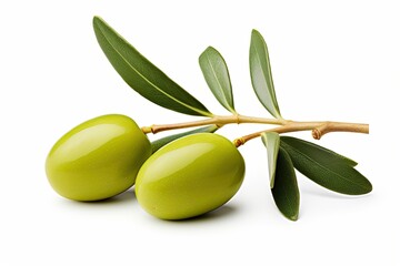 Two green olives on white background with an olive branch