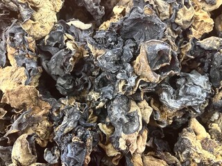 A pile of several dried black ear mushrooms is known by its scientific name Auricularia auricula, a type of jelly fungus that has a chewy fruit body and is shaped like an ear.