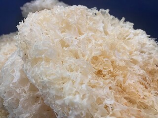 Snow fungus details or Snow Fungus, also known as white fungus with the scientific name Tremella...