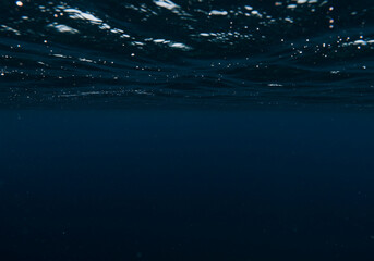 Obraz premium Ocean Depth: An Underwater Perspective