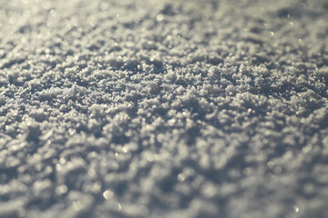 Closeup of Sparkling Snow Crystals in Sunlight