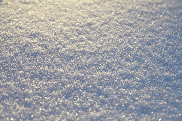 Close-Up of Sparkling Snow Texture in Winter Sunlight
