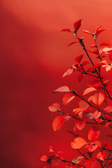 Vibrant red leaves against a soft red background, creating a striking autumnal atmosphere