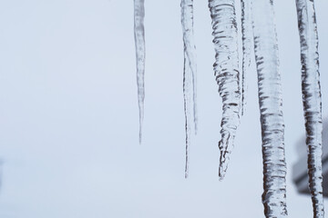 Helix-Shaped Icicles Hanging from Roof Against Clear Winter Sky