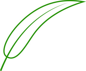 Nature Inspired Beauty with Floral Elements