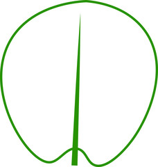 Botanical Garden Illustration with Soft Lines