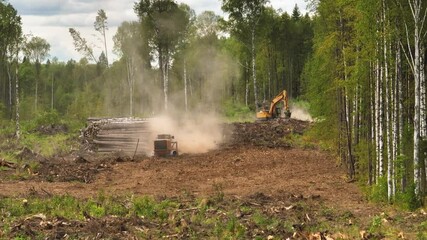 A mulcher shred organic material, leaves, branches, grass, or other plant debris, into smaller pieces. Construction of a road through the forest. Cutting and clearing of forest for road construction.
