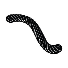 black feather isolated on white