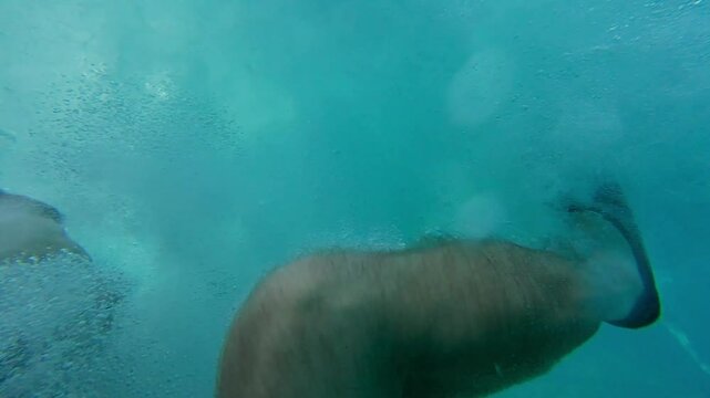 A bearded man films himself jumping off a cliff into the blue ocean water, continuing to film underwater and resurfacing