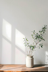Minimalist interior with a potted plant on a wooden table and soft shadows on the wall