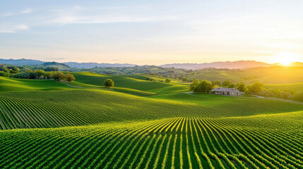 Rolling green fields with farmhouse at sunrise, evoking tranquility and natural beauty