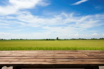 Gardinen Wooden table on rice fields with blue sky empty © memus