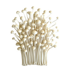 Fresh white mushrooms arranged in cluster, showcasing their delicate stems and rounded caps, perfect for culinary use or decoration