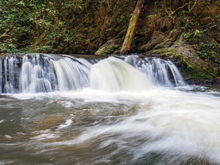 Small waterfall in a beautiful natural forest