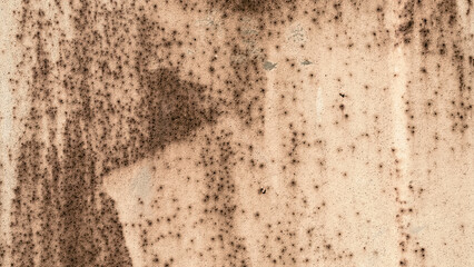 texture old metal surface painted beige paint with rust