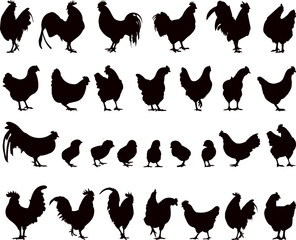 roosters, hens, chickens set black silhouette, vector