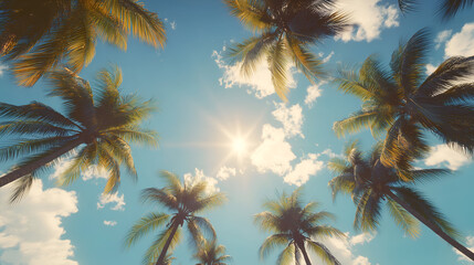 Sunlit Canopy The Beauty of Palm Trees Against the Sky