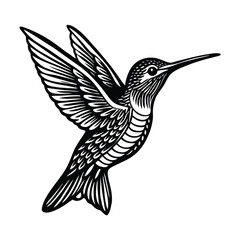 Obraz premium Engraving style hummingbird Vector Illustration 