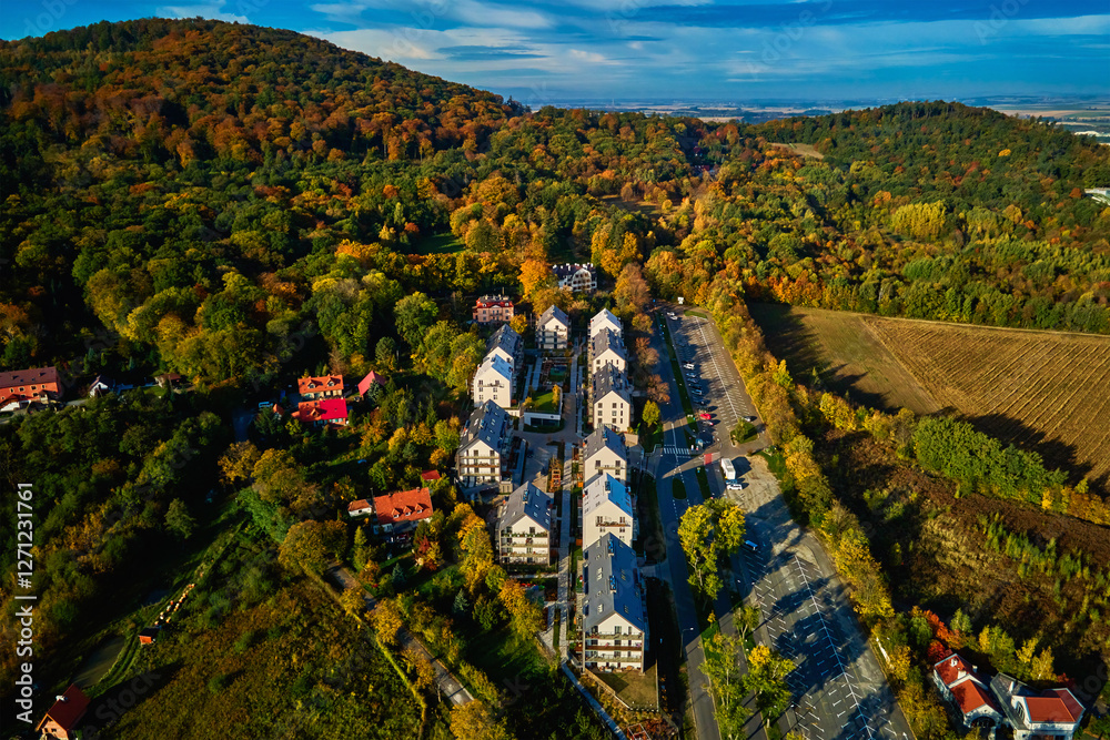 Wall mural Modern residential buildings near vibrant autumn forest, aerial view. Contemporary apartments in suburban eco friendly neighborhood with green spaces near mountains in small European town