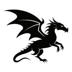 black and white dragon