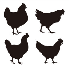 Collection of vector silhouettes of hens isolated on white background. Collection of Different Rooster, Cock, Hen, Chicken Poses. Perfect symbol for your web site design, logo, app, UI. Vector illustr