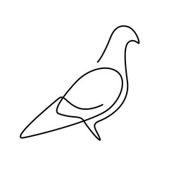 line art pigeon