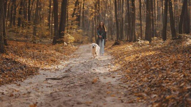 young cheerful redhead girl walking and playing with her labrador retriever dog outdoors in autumn forest