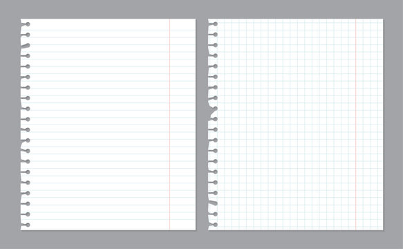 Realistic notebook paper sheets with damaged border. Blank spages of squared and lined paper isolated on gray background. Abstract concept graphic vector elements