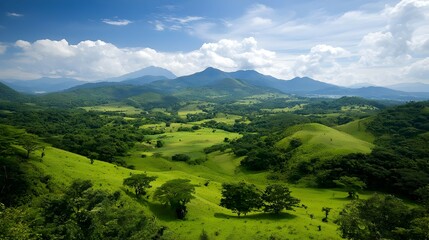 Fototapeta premium Serene Green Valley Landscape with Rolling Hills under a Sunny Sky