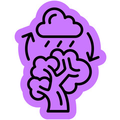 Transpirant in water cycle