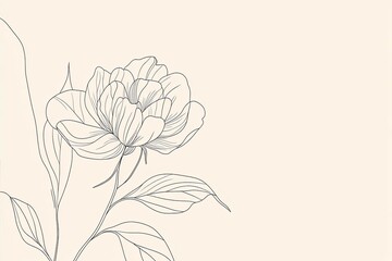Peony flower and leaves line drawing. Hand drawn outline floral set.
