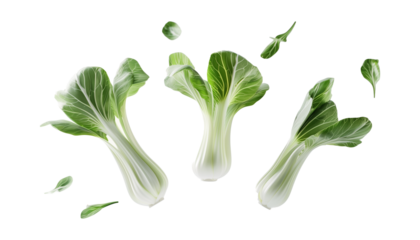 Fresh green bok choy leaves isolated on transparent background, perfect for digital culinary content and healthy recipes. Isolated on Transparent Background
