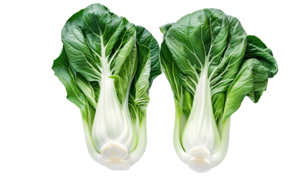 Fresh bok choy leaves pair isolated on transparent background, ideal for vegan and vegetarian recipes, showcasing vibrant green colors and healthy appeal. Isolated on Transparent Background