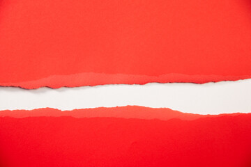 blank and torn paper