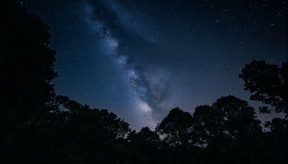 Night Sky and Trees.