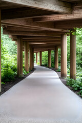 Wooded path under pergola, garden walkway, nature trail