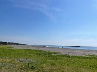 sky beach  sea and grass