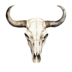watercolor illustration: bull skull head isolated on white or transparent png