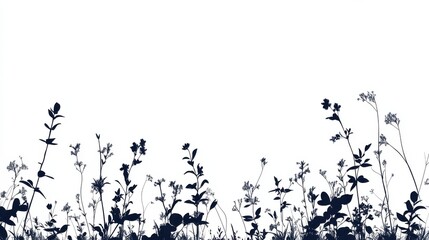 Obraz premium Silhouette of wild herbs and flowers on white background
