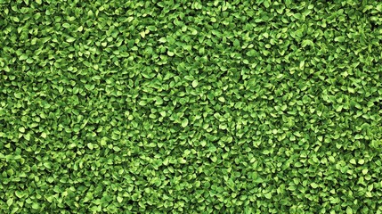 Vibrant eco-friendly grass field background with fresh growth, deep natural tones, and a smooth surface.