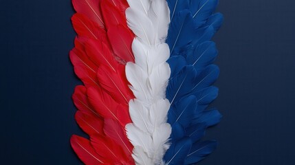 Red white and blue feather isolated on white background for decorative or artistic use