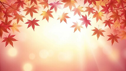 Autumn maple leaves with beautiful sunlight background.