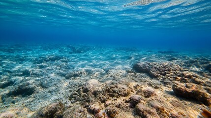 Fototapeta premium Clear underwater image showcasing vibrant corals and ocean textures : Generative AI