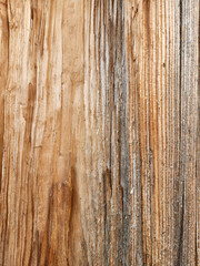 Pine wood. Pine wood texture. Longitudinal section of pine wood