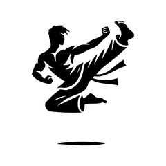 Fototapeta premium Black and White Martial Artist Jump Kick Illustration