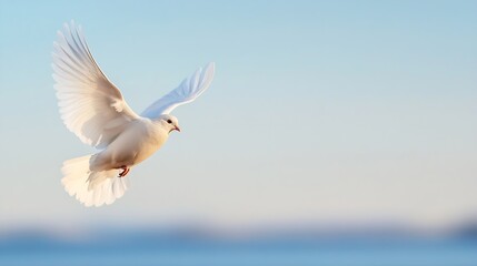 Fototapeta premium A majestic white dove soaring gracefully against a calm blue sky representing freedom and hope : Generative AI