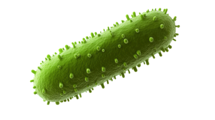 3d green bacteria featuring a textured cylinder isolated on white background