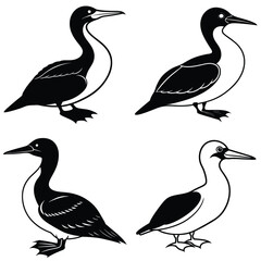 Stylized Gannet Silhouette Vector Icon Set Ideal for Logos & Artwork.