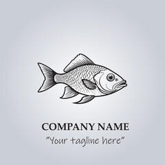 Fish logo company design vector illustration